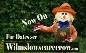 The Scarecrow Festival is now on ....